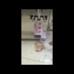Pequeña màquina d'envasat de pesatge vertical d'embalatge automàtic de fixació